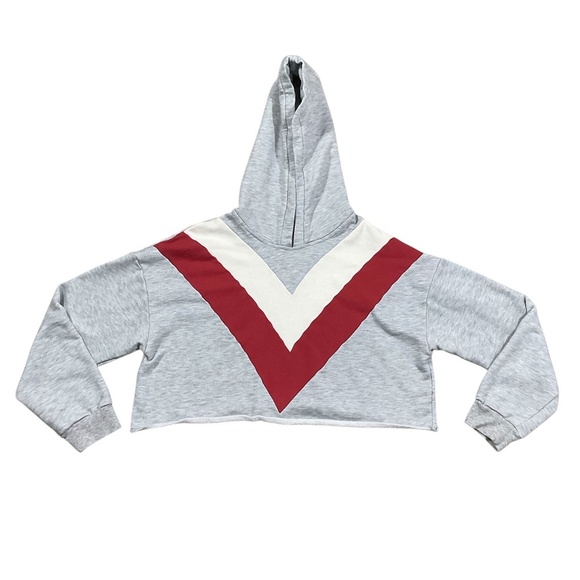 Allard State Gray Cropped Hoodie Sweatshirt Large - Picture 1 of 7